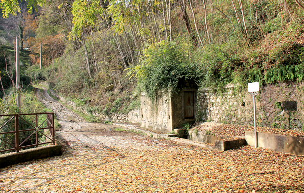 vrisi